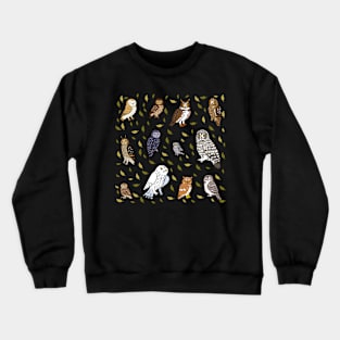 Cute owls kinds illustration Crewneck Sweatshirt